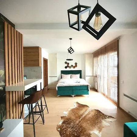 公寓 Pablo 兹拉蒂博尔